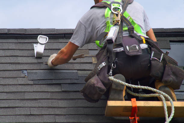 Best Storm Damage Roof Repair  in Murray, KY