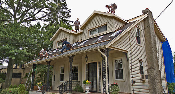 Best Storm Damage Roof Repair  in Murray, KY