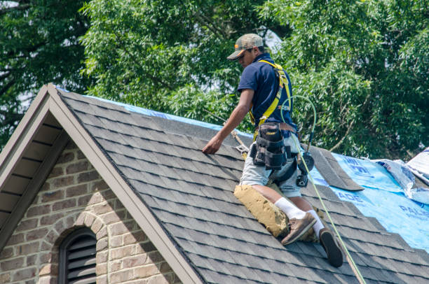 Best Residential Roofing Contractor  in Murray, KY